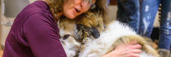 PALSCalgary Profile Banner