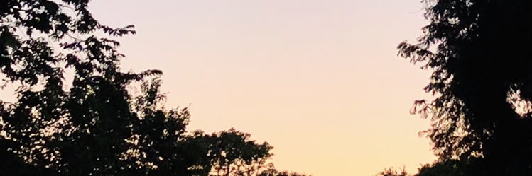 dazymaes's profile banner image