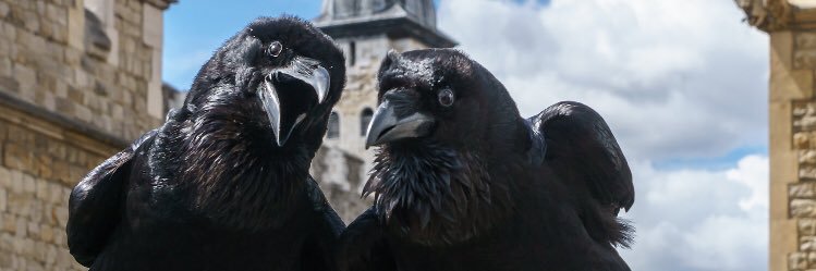 Number0006's profile banner image