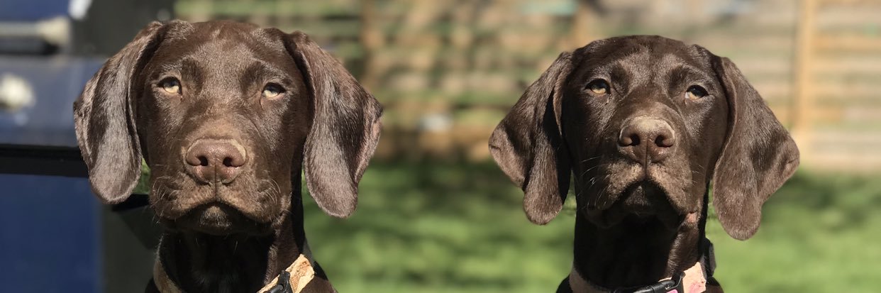 mrsalexpage's profile banner image