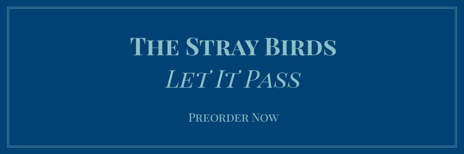 thestraybirds's profile banner image