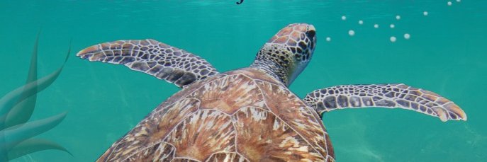 Michelle Kadarusman banner