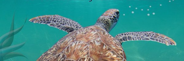 MichelleRReader Profile Banner