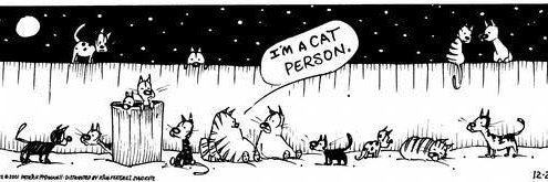 LolcatLisa's profile banner image
