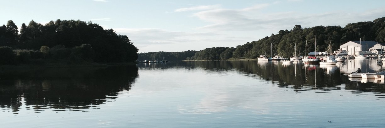 Meghan Casey banner