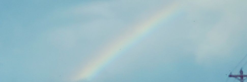 msg237's profile banner image