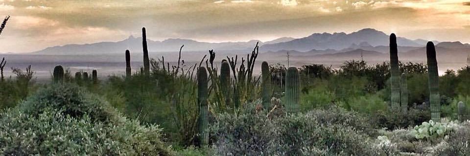 Phinny's profile banner image