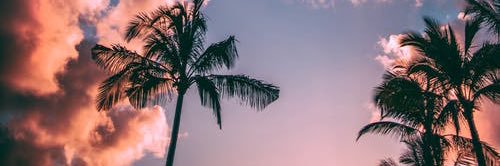 EmiUveges's profile banner image