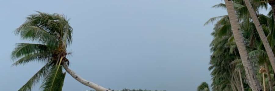 الراشد banner
