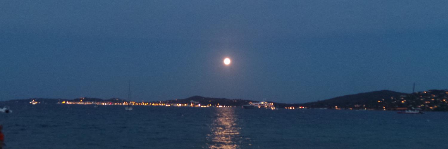 Carol Andrews banner