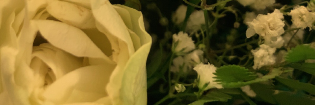 Wejd55's profile banner image