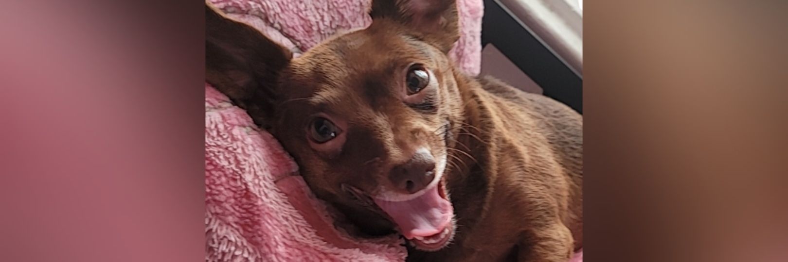_GeorgieBennett's profile banner image