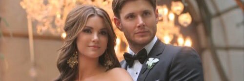 Shessuchafaker's profile banner image