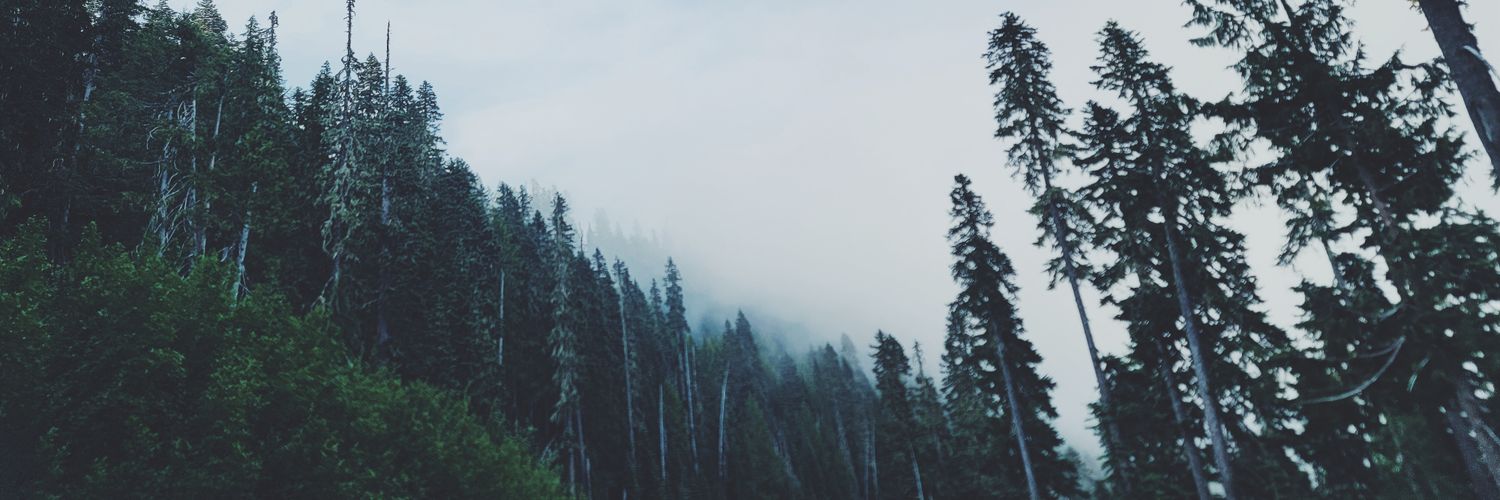 MicahWarren95's profile banner image