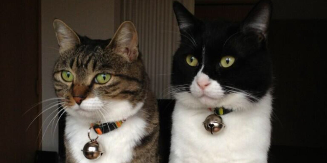 atumareearo's profile banner image