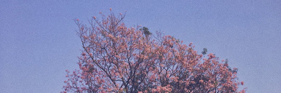 daraadu's profile banner image