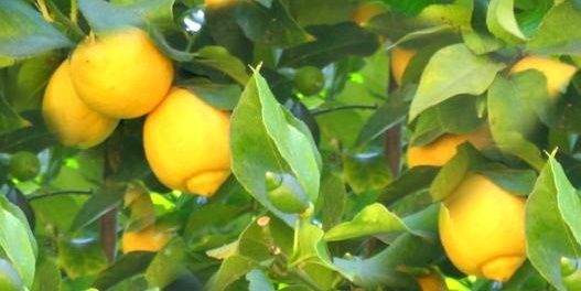 MichelleBishop9's profile banner image