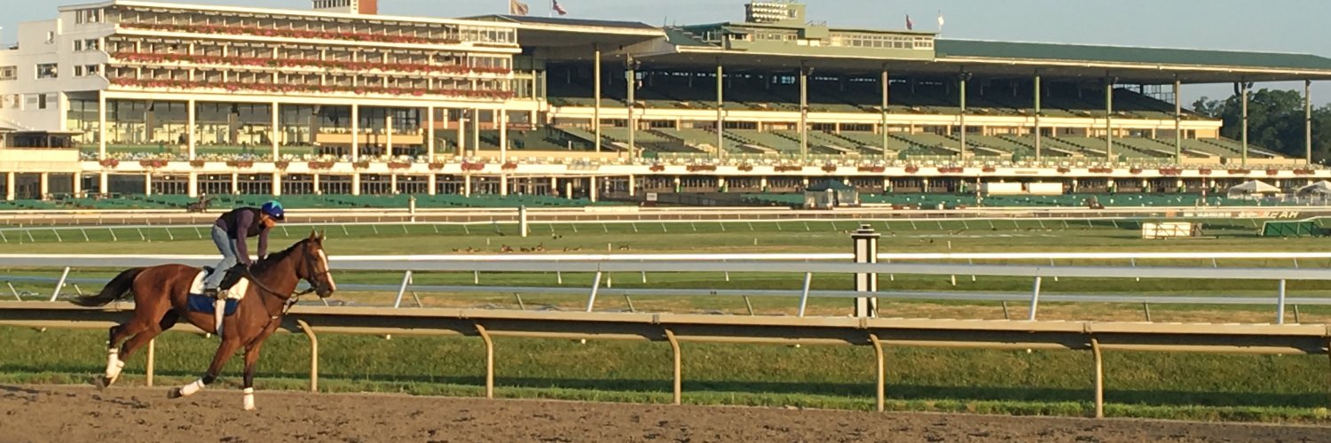 Steve Edelson banner