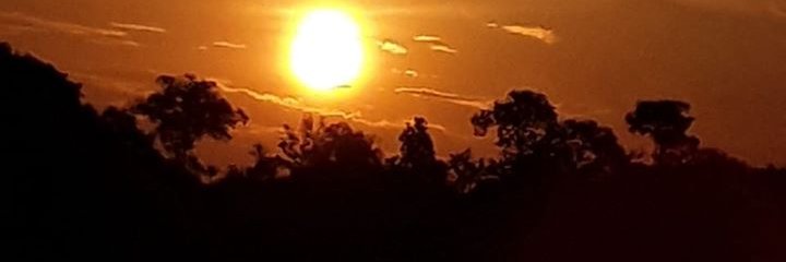 celinhogremista's profile banner image
