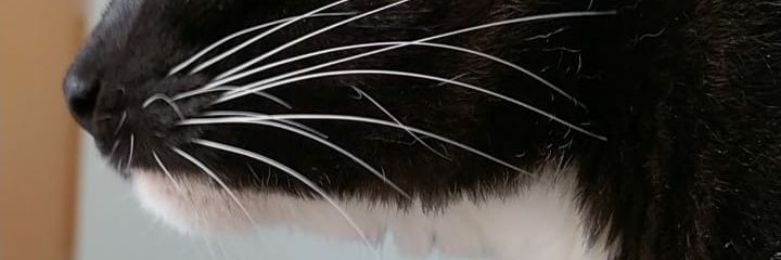 theonlywini's profile banner image