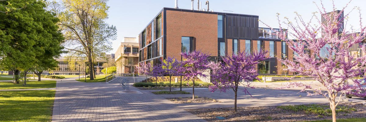 Macalester Alumni banner