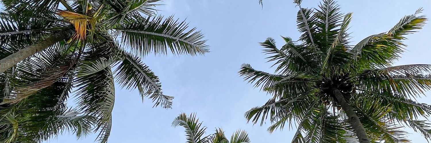 aryo_267's profile banner image