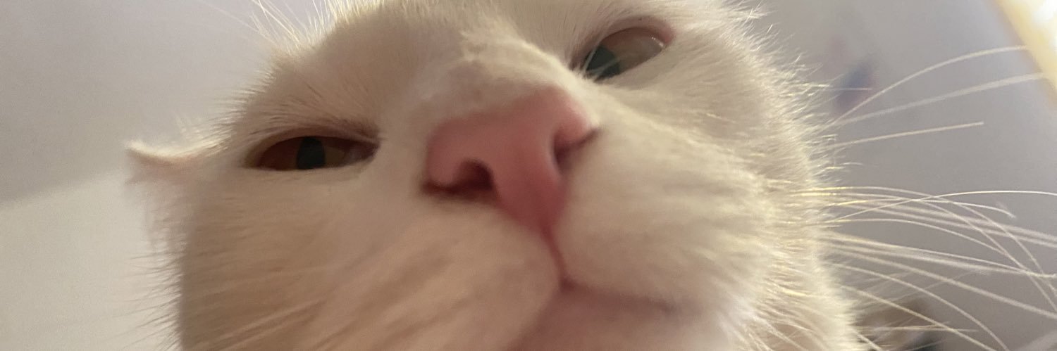 ritmoyrosca's profile banner image