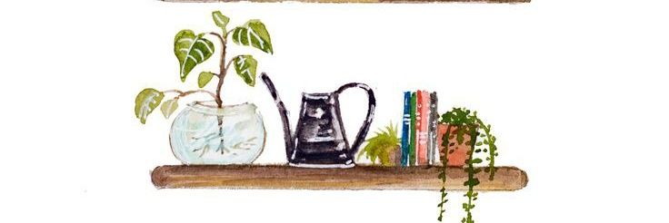 rianasupr's profile banner image