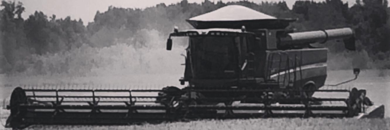 randy_FH's profile banner image