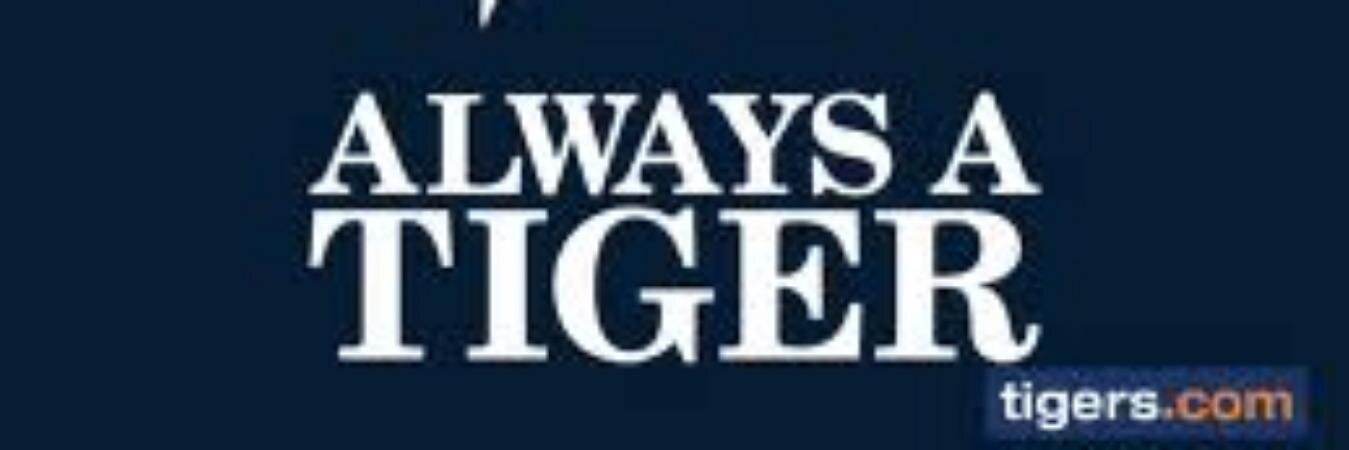 Al_Knows313's profile banner image