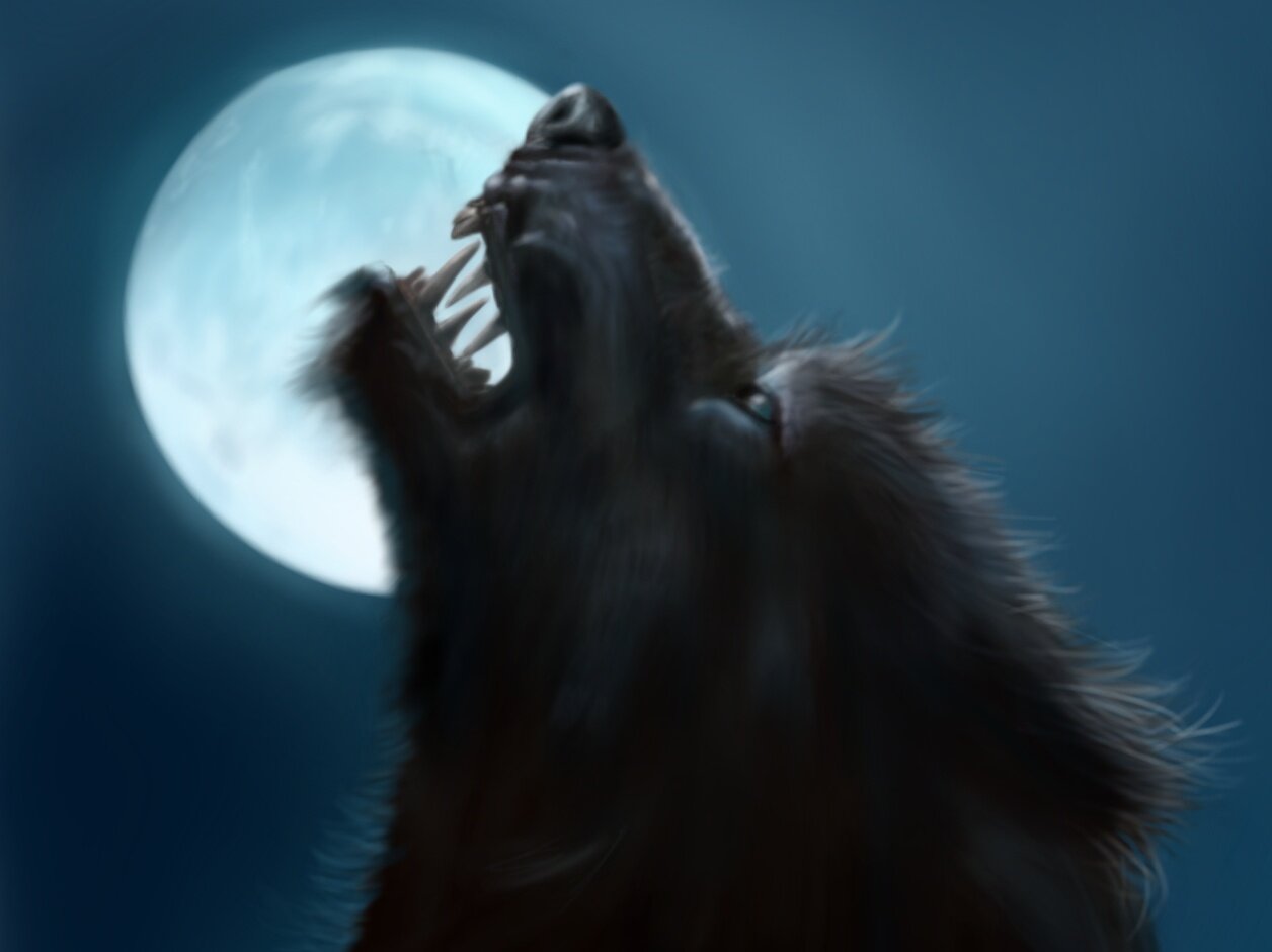 LupinWerewolf's profile banner image