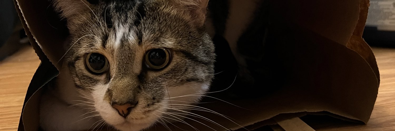 rawrimsarah's profile banner image