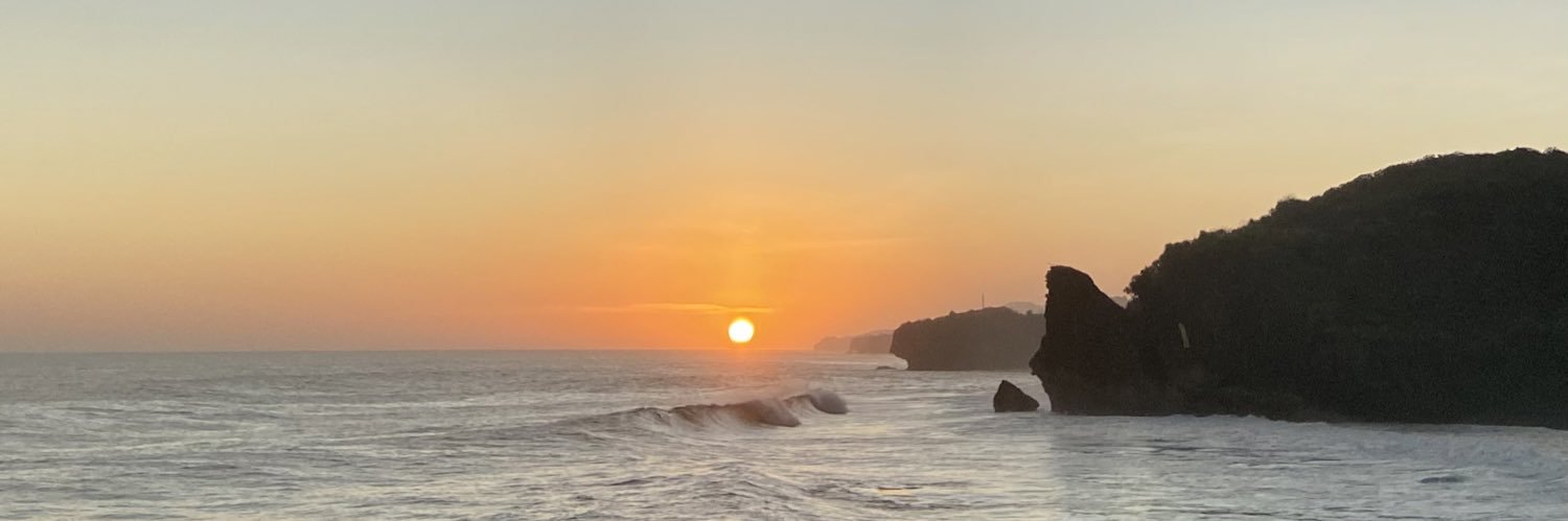 sfddlla's profile banner image