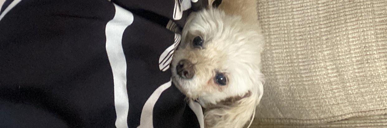 soyfourz's profile banner image