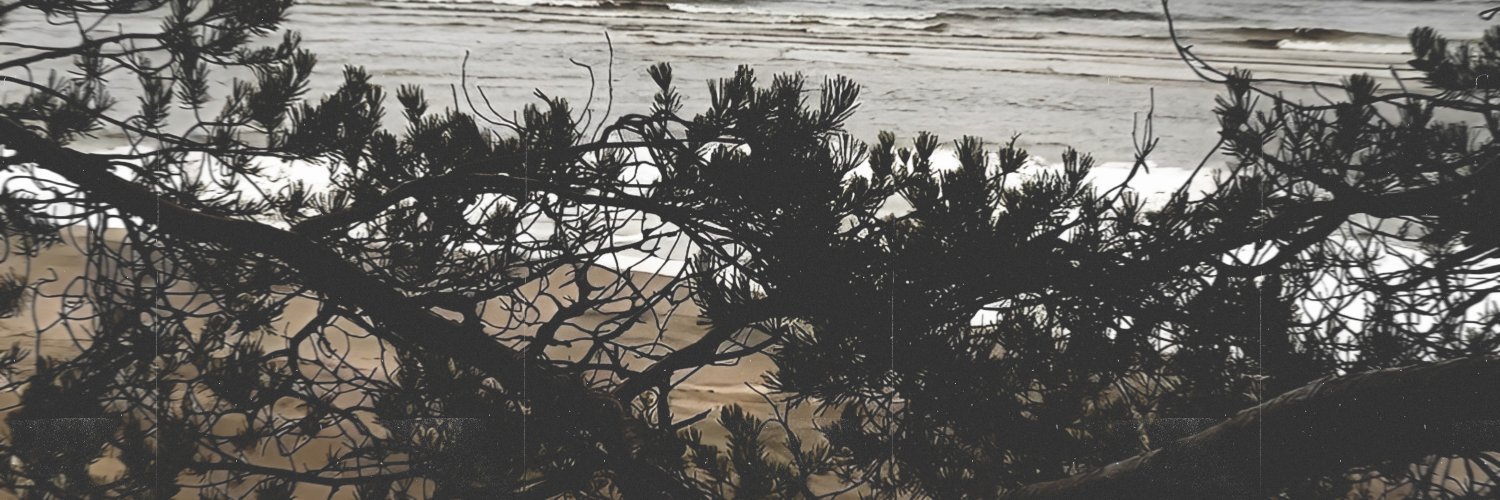 Sdydney's profile banner image