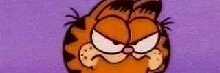 r_curiouscat's profile banner image