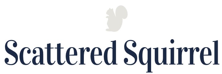 ScatterSquirrel's profile banner image