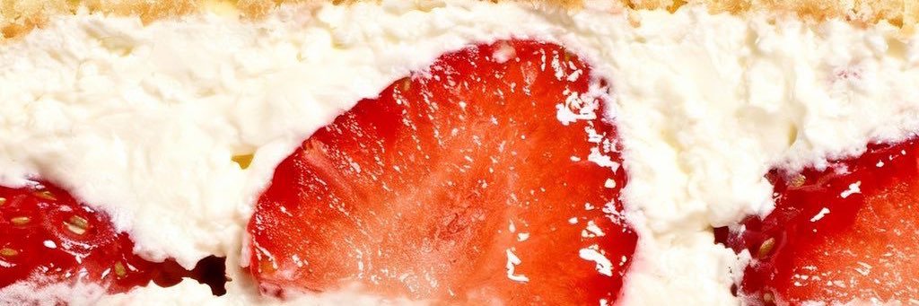 ซงโซ banner