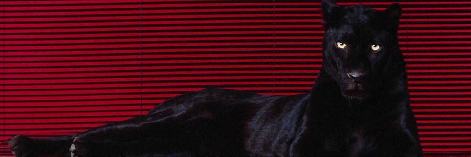 TrapQuility's profile banner image