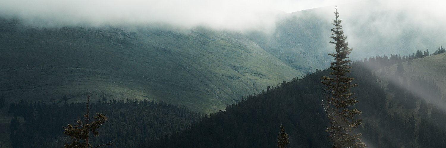 fading_to_light's profile banner image