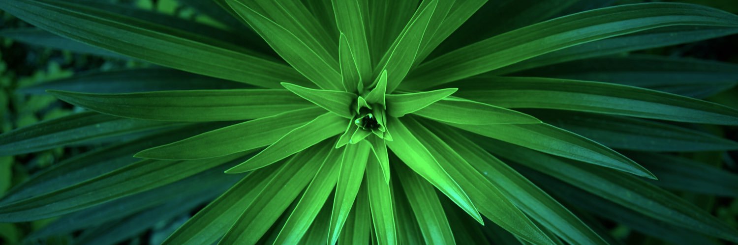 AliHeth50's profile banner image