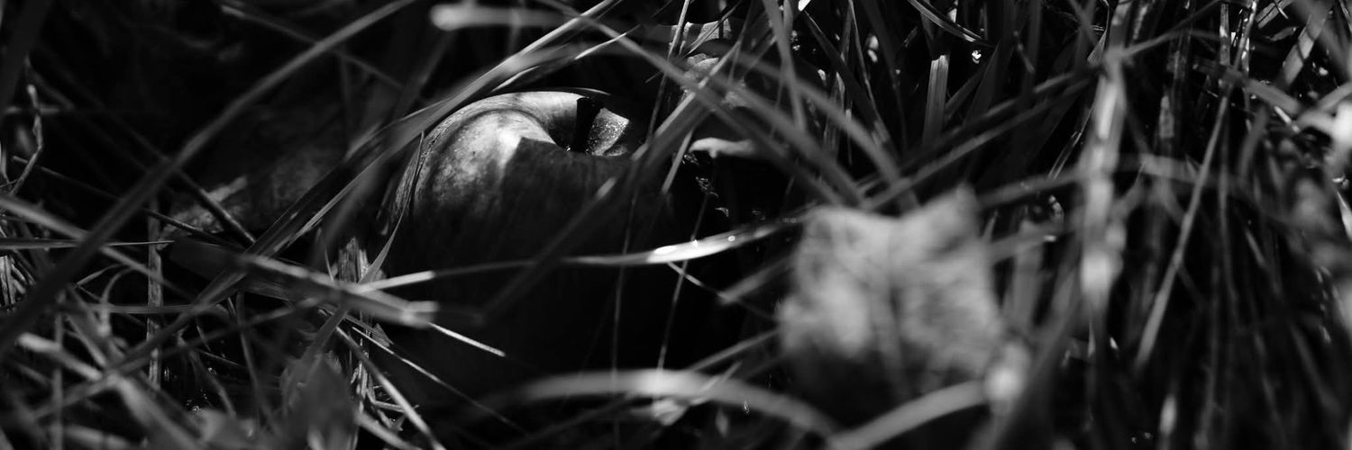 Marie Marchi  banner