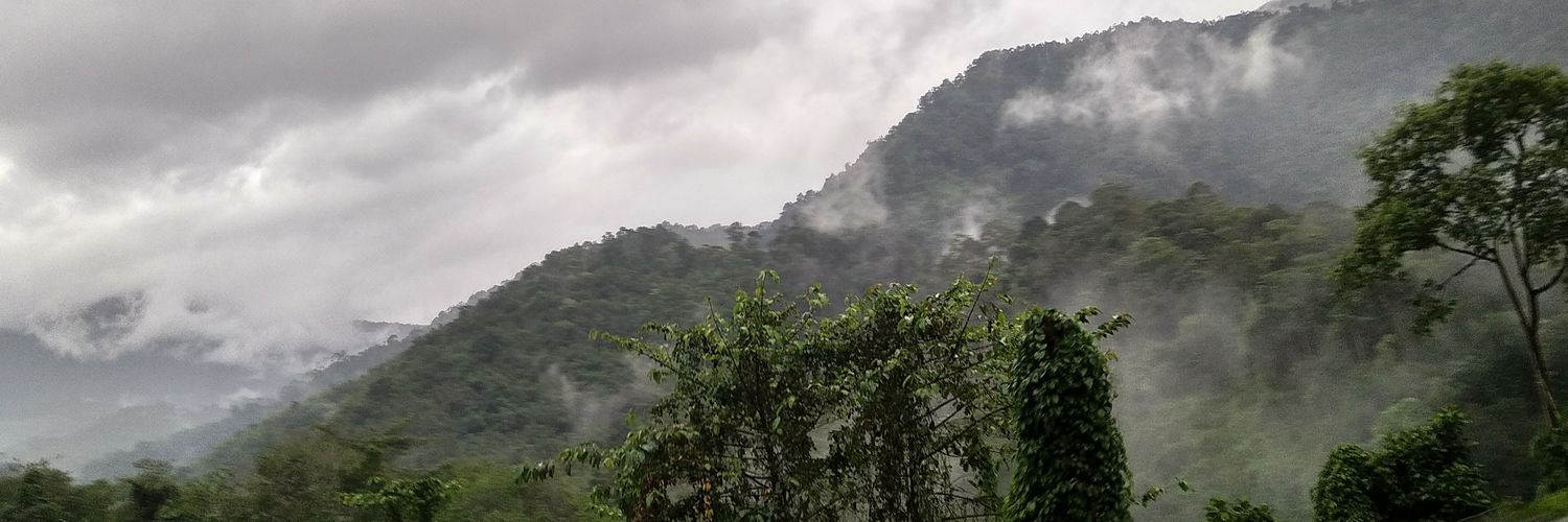 emanhaffy's profile banner image