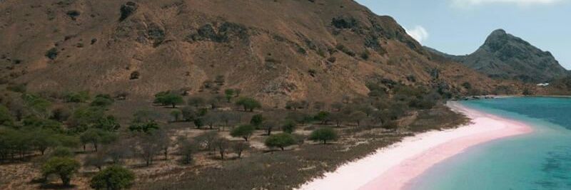 Dhitafyfa's profile banner image