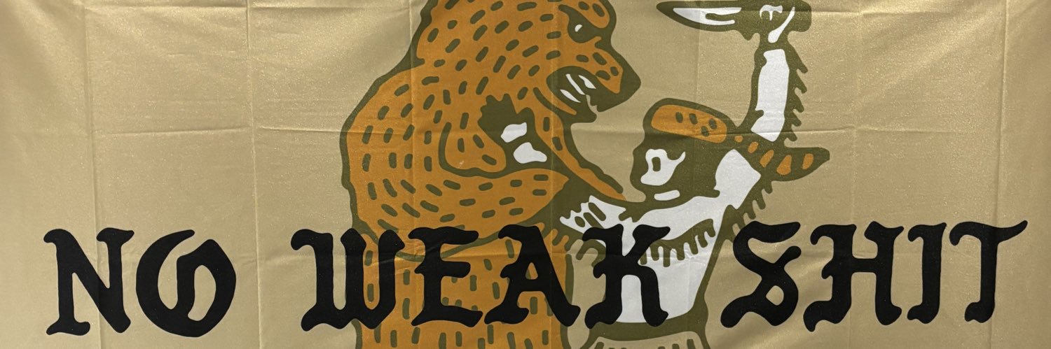13PlusUltra's profile banner image