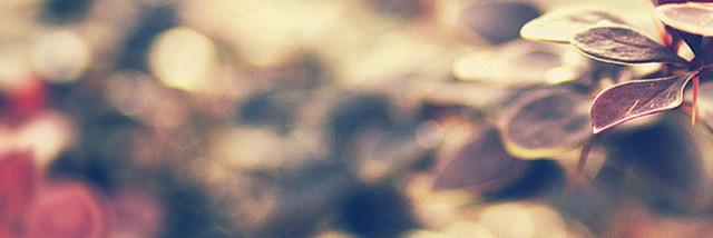 satomilky's profile banner image