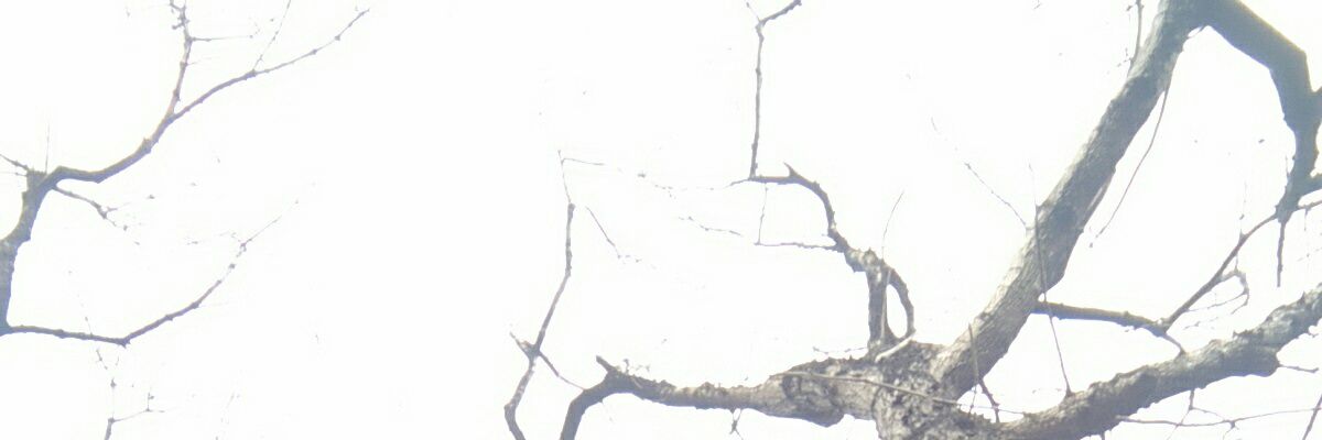 mujoz_'s profile banner image