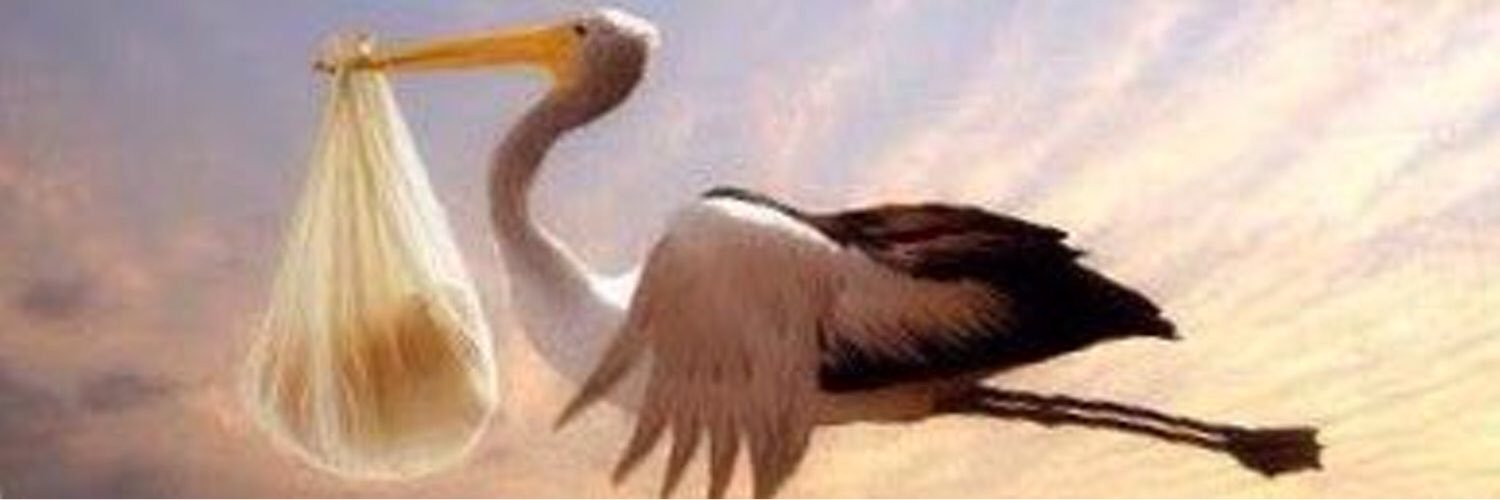 ChedyG's profile banner image