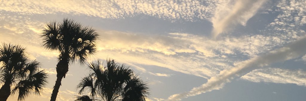 uhlodee's profile banner image