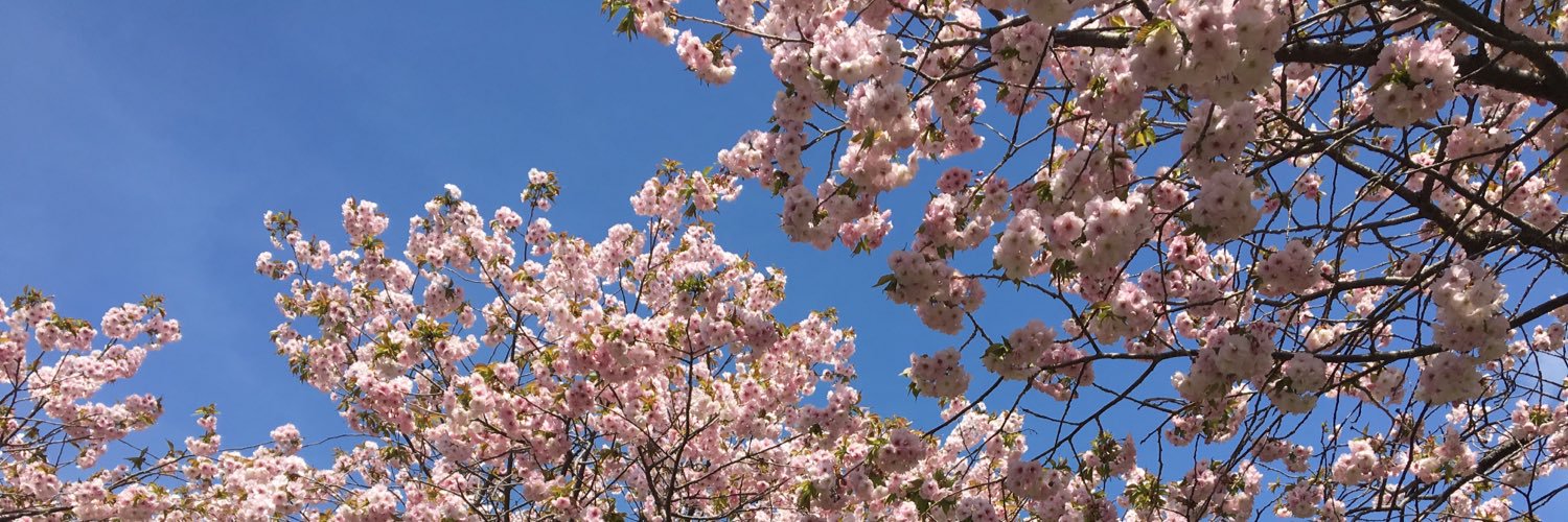 _nimadol_'s profile banner image